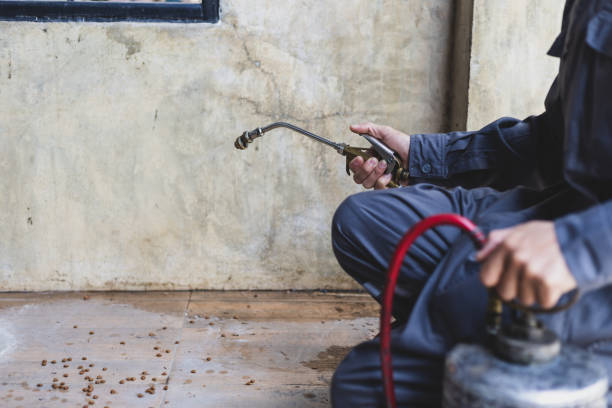 Best Mosquito Control Services  in Taos Pueblo, NM